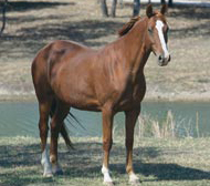 Hanoverian