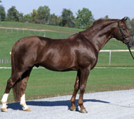Westphalian